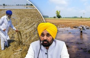 Punjab: ਅੱਜ ਤੋਂ ਵੰਡੇ ਜਾਣਗੇ ਮੁਆਵਜ਼ੇ ਦੇ ਚੈੱਕ, ਪੁਨਰਵਾਸ ਪ੍ਰੋਗਰਾਮ ਅੰਮ੍ਰਿਤਸਰ ਤੋਂ ਹੋਵੇਗਾ ਸ਼ੁਰੂ