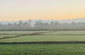 Punjab ‘ਚ ਅੱਜ ਮੌਸਮ ਦਾ ਕੋਈ ਅਲਰਟ ਨਹੀਂ, ਤਾਪਮਾਨ ਆਮ ਨਾਲੋਂ 5.1 ਡਿਗਰੀ ਘੱਟ