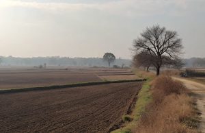 Punjab ‘ਚ ਮੌਸਮ ਰਹੇਗਾ ਖੁਸ਼ਕ, ਸਵੇਰ ਤੇ ਰਾਤਾਂ ਠੰਡੀਆਂ, ਤਾਪਮਾਨ ਆਮ ਦੇ ਕਰੀਬ