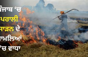 Diwali ਤੋਂ ਪਹਿਲਾਂ ਵਧਿਆ ਪਰਾਲੀ ਪ੍ਰਦੂਸ਼ਣ, ਪੰਜਾਬ ‘ਚ ਹੁਣ ਤੱਕ 176 ਮਾਮਲੇ, ਅੰਮ੍ਰਿਤਸਰ ਸਭ ਤੋਂ ਉੱਪਰ