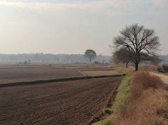 Punjab ਦੇ ਲੋਕਾਂ ਨੂੰ ਮੌਸਮ ਤੋਂ ਰਾਹਤ, ਅੱਜ ਕੋਈ ਅਲਰਟ ਨਹੀਂ; ਇਹ ਜ਼ਿਲ੍ਹਾ ਰਿਹਾ ਸਭ ਤੋਂ ਠੰਡਾ