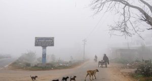 Punjab ‘ਚ ਅੱਜ ਧੁੰਦ ਦਾ ਯੈਲੋ ਅਲਰਟ, ਤਾਪਮਾਨ ‘ਚ ਹਲਕੀ ਗਿਰਾਵਟ; Bathinda ਰਿਹਾ ਸਭ ਤੋਂ ਠੰਡਾ