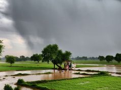 Punjab ‘ਚ ਅੱਜ ਬਾਰਿਸ਼ ਦੀ ਭਵਿੱਖਬਾਣੀ, ਅਗਲੇ ਤਿੰਨ ਦਿਨ ਤੂਫ਼ਾਨ ਦਾ ਅਲਰਟ; ਜਾਣੋ ਮੌਸਮ ਦਾ ਹਾਲ