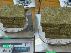 Amritsar Airport ‘ਤੇ ਵੱਡੀ ਕਾਰਵਾਈ: ਬੈਂਕਾਕ ਤੋਂ ‘ਮਠਾਈਆਂ’ ਦੇ ਡੱਬਿਆਂ ‘ਚ ਪਹੁੰਚਿਆ 96 ਲੱਖ ਦਾ ਗਾਂਜਾ; ਯਾਤਰੀ ਗ੍ਰਿਫ਼ਤਾਰ