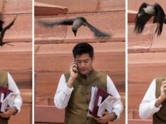 संसद के बाहर राघव चड्ढा को कौवे ने काटा, बीजेपी बोली-झूठ बोले, कौवा काटे, आप सांसद ने दिया जबरदस्त जवाब, पढ़ें