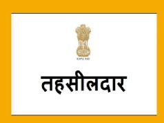 पंजाब के 11 तहसीलदार हुए डीआरओ परमोट, सरकार ने जारी किए आदेश, पढ़ें