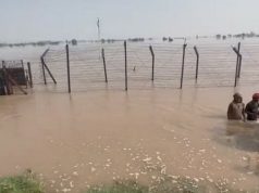 बाढ़ के पानी से डूब सकता है पूरा फिरोजपुर जिला, हुसैनीवाला हेड के गेट खुलवाए, प्रशासन सतर्क, पढ़ें