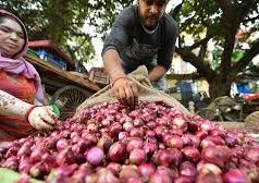 प्याज को लेकर मची हाहाकार