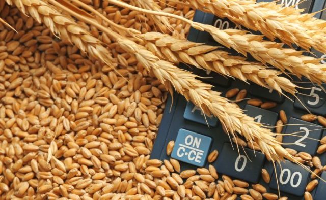 Wheat Stock