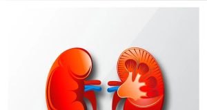 किडनी हेल्थ के लिए वरदान हैं ये सुपर फूड्स