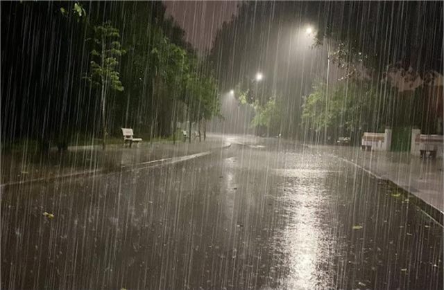 2024_8image_20_30_210124574rain-ll
