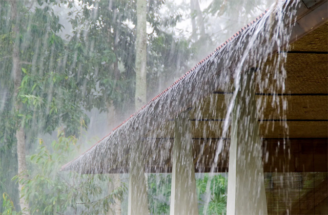 2024_9image_20_32_557582233rain2