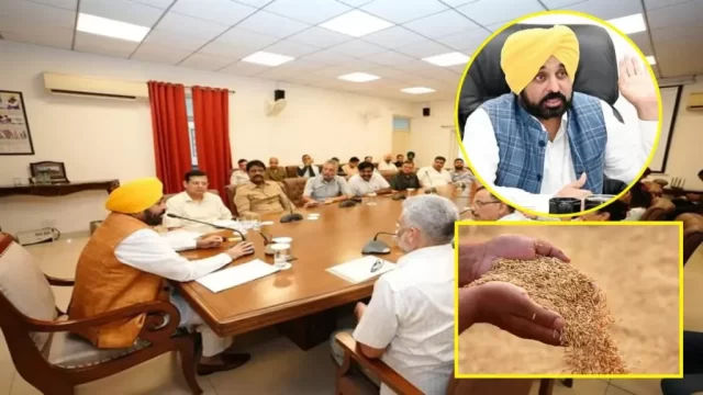 Punjab-CM-Bhagwant-Mann-on-Paddy-Purchase-1024x576