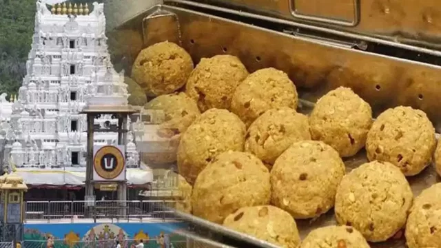 laddu-case