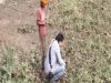 Punajbके School में घुसा तेंदुआ, गुरुद्वारा साहिब में हो रही Announcement, डरे-सहमे लोग