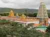 Tirupati के 3 होटलों को बम से उड़ाने की धमकी, Drug Racket सरगना के नाम से आई Email