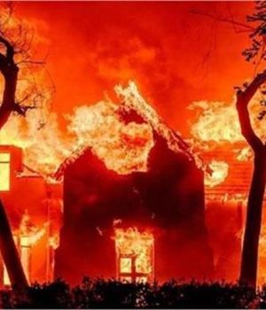 Los Angeles में लगी आग से भयंकर तबाही, 5000 इमारतें जलकर खाक