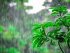 Punjab Weather Update: पंजाब में दो दिन तक भारी बारिश की चेतावनी, इन 5 जिलों में ऑरेंज अलर्ट