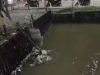 Ludhiana: नहर में मिली मेडिकल स्टूडेंट की लाश, चार दिन से था लापता
