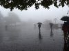 UP Weather Alert: यूपी के 50 जिलों में भारी बारिश और आकाशीय बिजली का अलर्ट, 7 अगस्त तक सक्रिय रहेगा मानसून Heavy Rainfall in UP