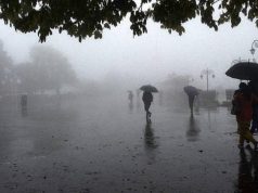 UP Weather Alert: यूपी के 50 जिलों में भारी बारिश और आकाशीय बिजली का अलर्ट, 7 अगस्त तक सक्रिय रहेगा मानसून Heavy Rainfall in UP