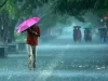 Punjab में बदलेगा मौसम… इन 13 जिलों में IMD ने किया आंधी-बारिश का अलर्ट