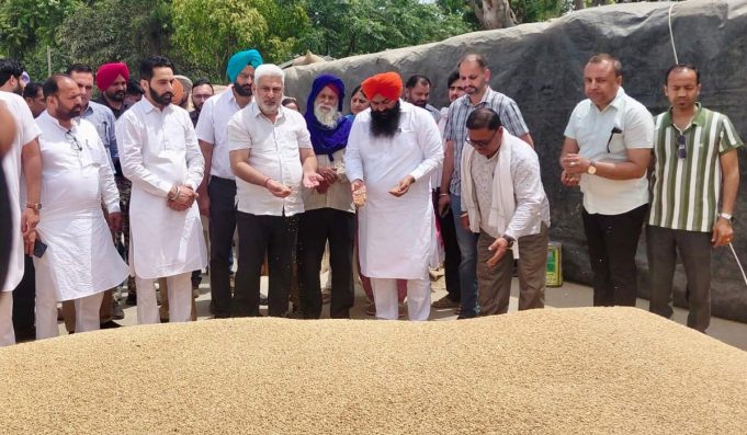 Punjab की मंडियों में 28 लाख मीट्रिक टन गेहूं की आमद, 24 लाख मीट्रिक टन से अधिक की खरीद : Lal Chand Kataruchak