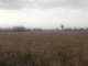 Punjab Weather: पंजाब में फिर बदला मौसम, आज और कल आंधी के साथ होगी बारिश