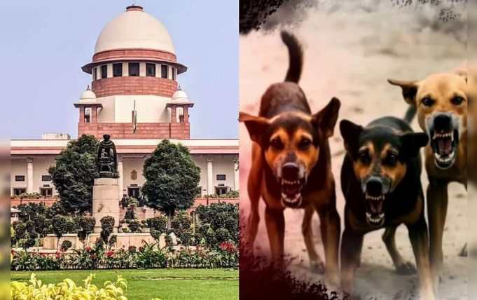 Supreme Court ने Dog Lovers की सभी याचिकाएं की खारिज, रेबीज और गंभीर कुत्तों को मारने के दिये निर्देश