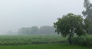 Weather Update: Punjab के इन 16 जिलों में होगी बारिश, चलेंगी तेज हवाएं; IMD ने जारी किया Alert