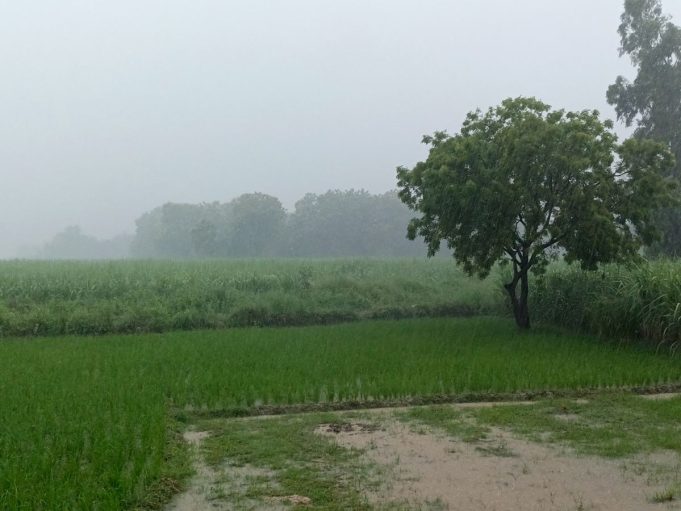 Weather Update: Punjab के इन 16 जिलों में होगी बारिश, चलेंगी तेज हवाएं; IMD ने जारी किया Alert