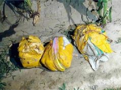 Amritsar : सीमावर्ती गांव से 135 करोड़ की हेरोइन बरामद, सुरक्षा एजेंसियां अलर्ट