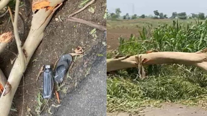 Jalandhar में आंधी- तूफान का कहर, बाइक से जा रहे पिता-बेटी पर गिरा पेड़, दोनों की मौत