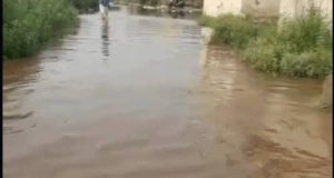 Jalandhar में Overflow होने से नहर का बांध टूटा: कॉलोनियों में पानी भरा, बोरियों की मदद से मरम्मत