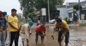 पंजाब-चंडीगढ़ में 3 दिन भारी बारिश का अलर्ट:जालंधर में लोगों ने सड़क पर धान लगाया; हिमाचल में लैंडस्लाइड