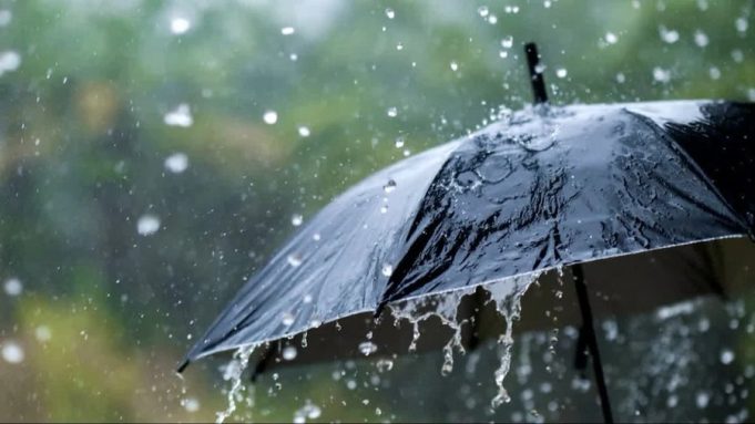 Punjab में अगले 4 दिन 15 जिलों में बारिश का अलर्ट, पढ़ें IMD का उपडेट