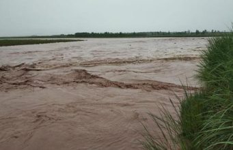 Gurdaspur: रावी नदी में बाढ़, मकोरा बंदरगाह पर नौका सेवा ठप; कई गांवों के लोग परेशान
