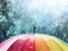 Punjab Weather Update: Punjab के इन 3 जिलों में बारिश के आसार, जानें मौसम का हाल