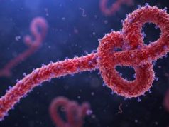 Ebola Virus Alert: Congo में तेजी से फैल रहा खतरनाक Outbreak, मौतों का आंकड़ा 2,000 के पार DRC Ebola Cases