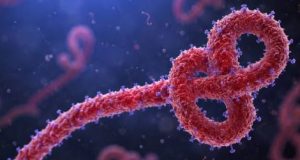 Ebola Virus Alert: Congo में तेजी से फैल रहा खतरनाक Outbreak, मौतों का आंकड़ा 2,000 के पार DRC Ebola Cases