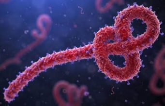 Ebola Virus Alert: Congo में तेजी से फैल रहा खतरनाक Outbreak, मौतों का आंकड़ा 2,000 के पार DRC Ebola Cases