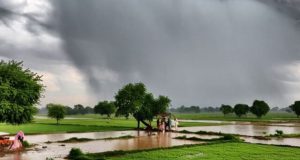 आज Punjab भर में बारिश की संभावना, 5 जिलों में येलो अलर्ट जारी; मौसम की स्थिति जानें