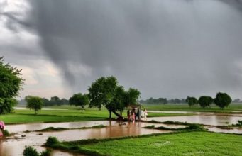 आज Punjab भर में बारिश की संभावना, 5 जिलों में येलो अलर्ट जारी; मौसम की स्थिति जानें