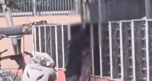 Raigarh Railway Station Viral Video: Public Place पर Couple का Kissing Video Viral, RPF ने शुरू की जांच Raigarh Railway Station Viral Video