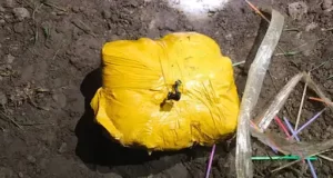 Amritsar में हेरोइन समेत 2 तस्कर गिरफ्तार:1.147 किलो नशा बरामद, नाकाबंदी दौरान पकड़ा
