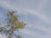 Punjab Weather Update: पंजाब के 3 जिलों में भारी बारिश का येलो अलर्ट, जानें अगले दिनों का मौसम