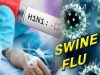 Chandigarh PGI में स्वाइन फ्लू के 170 केस:H3N2 और इन्फ्लूएंजा-B के मरीज, इनमें 36 बच्चे; सबसे ज्यादा 68 संक्रमित पंजाब से