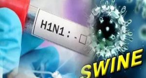 Chandigarh PGI में स्वाइन फ्लू के 170 केस:H3N2 और इन्फ्लूएंजा-B के मरीज, इनमें 36 बच्चे; सबसे ज्यादा 68 संक्रमित पंजाब से