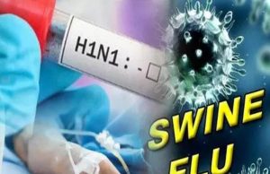 Chandigarh PGI में स्वाइन फ्लू के 170 केस:H3N2 और इन्फ्लूएंजा-B के मरीज, इनमें 36 बच्चे; सबसे ज्यादा 68 संक्रमित पंजाब से