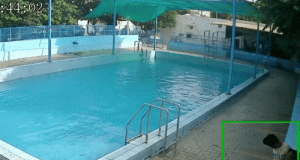 Ludhiana में Swimming Pool के किनारे बच्चे की मौत, VIDEO:नहाने के बाद बैठा, उठते ही लड़खड़ाया; फिर गिरा